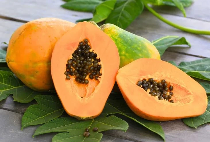 du-du-chin-vang-an-du-cho-tam-hon-an-nhien-1