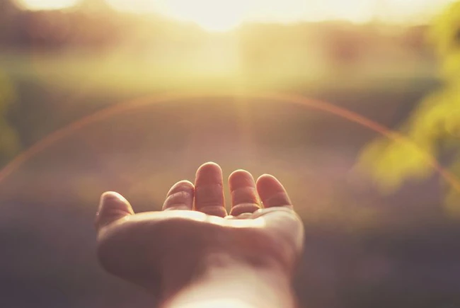 moi-som-mai-la-mot-phep-mau-neu-ta-biet-mo-long-ra-don-1